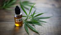 What Your Financial Institution Needs to Know About Banking CBD Retailers