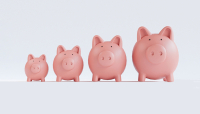 Fed&rsquo;s Bowman Recommits to Regulating Banks by Size