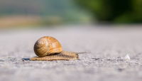 Lending Slow, but Small Banks Stable