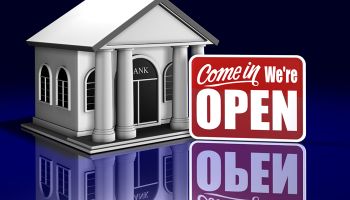 Should small banks be “permitted” to survive?