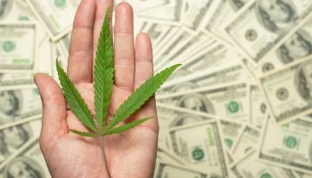 With a New Congress, Banks High on Possibility of Easier Access to Cannabis Accounts