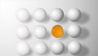Do you have a bad egg in your boardroom? Jeff Gerrish tackles this challenge as he tackles many community bank conundrums from long experience.